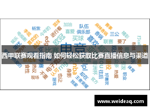 西甲联赛观看指南 如何轻松获取比赛直播信息与渠道